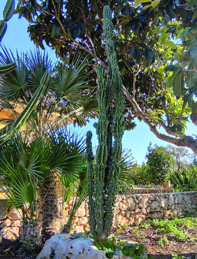 Villa Sargheruoli Monteroni di Lecce Extérieur photo